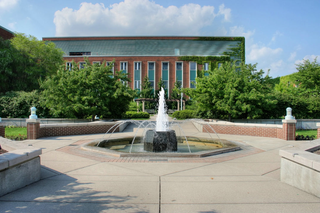 Unveiling the Top 5 Hidden Gems on MSU's Campus: Discovering Treasures Beyond the Ordinary