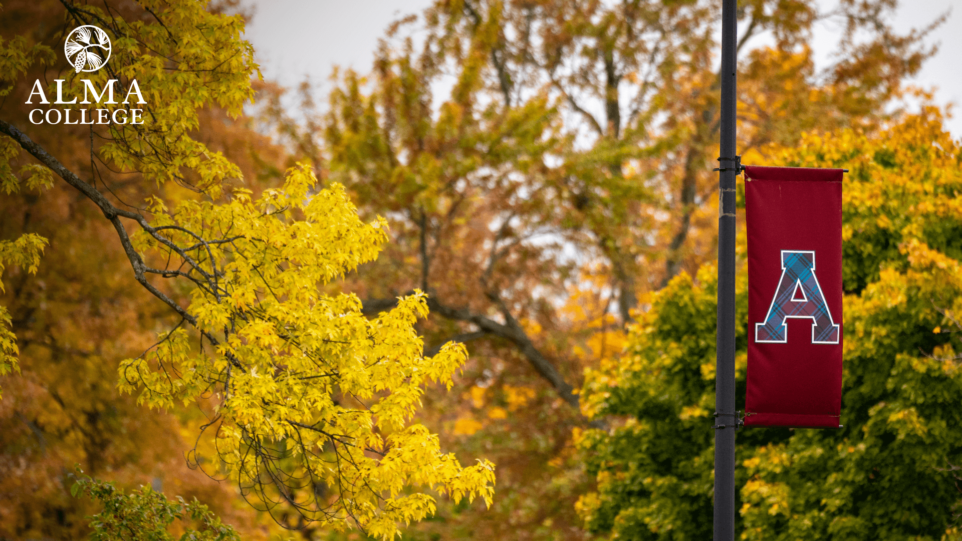 ALMA College Campus