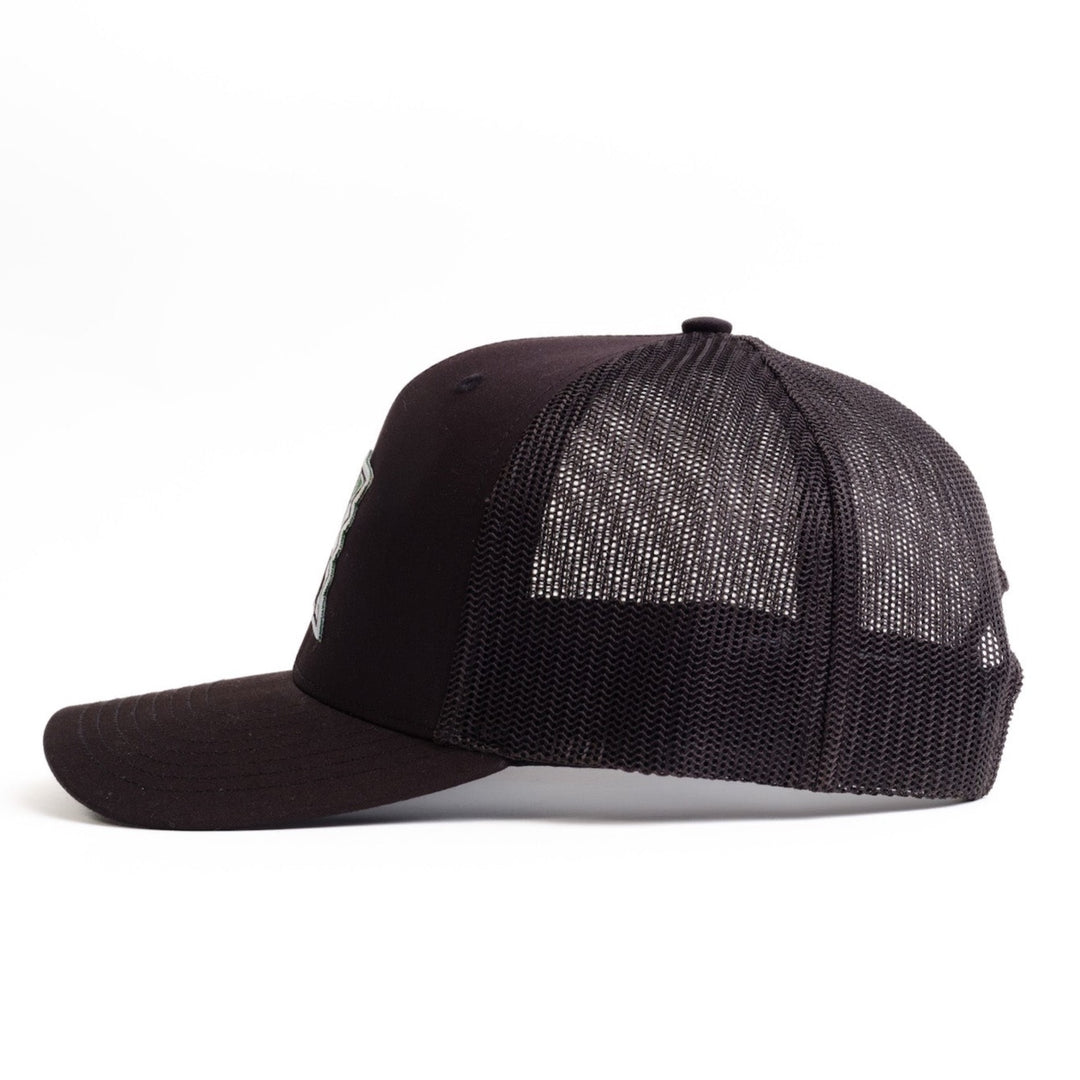 Left Side of University of Hawaii Baseball Hat