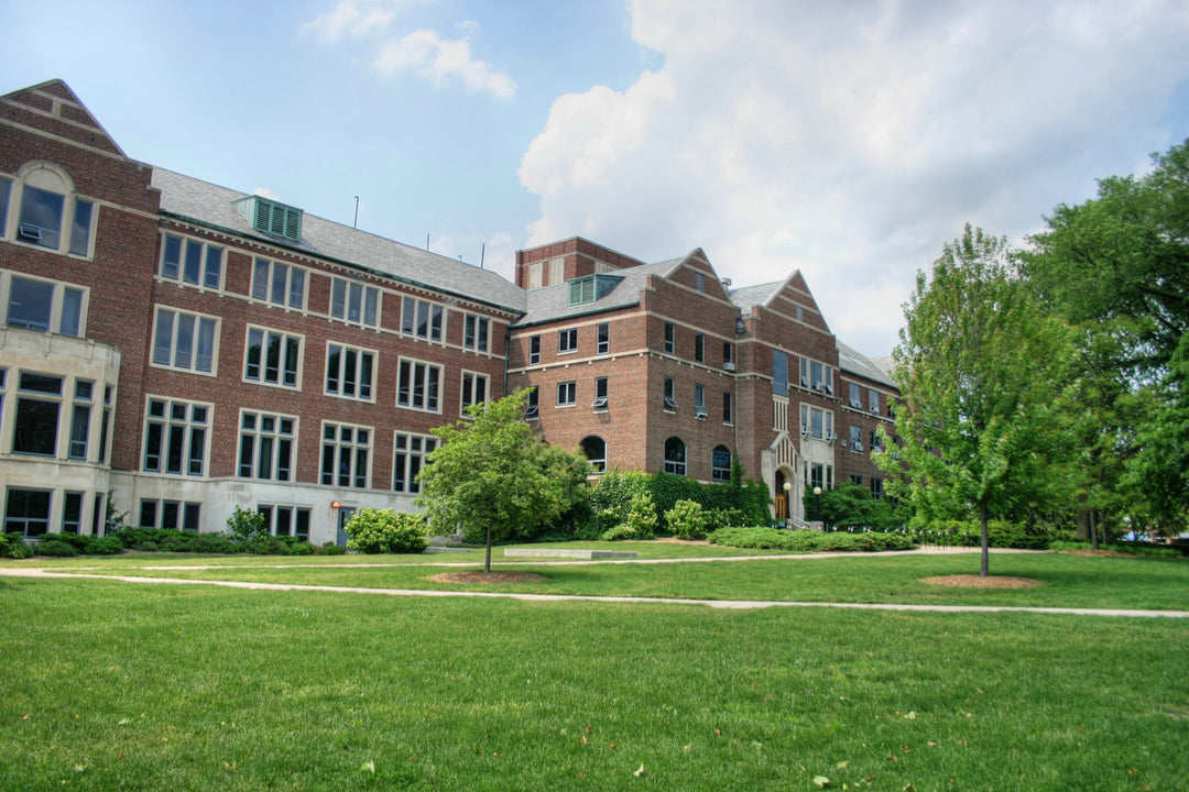 MSU's Most Popular Majors: A Comprehensive Guide