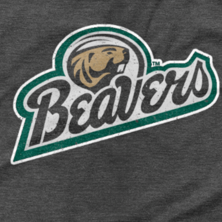 Bemidji State University Beavers Script Logo Unisex T-shirt Up Close