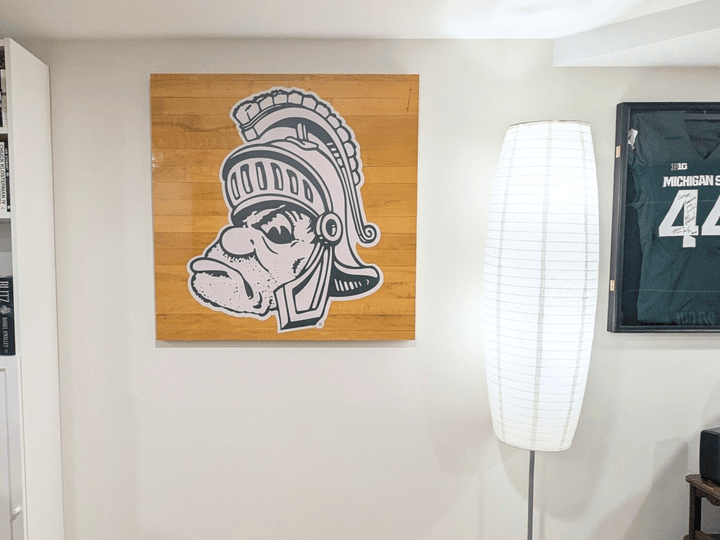 MSU Wall Decal Michigan State Gruff Sparty - XL Wall Decal Sticker Set