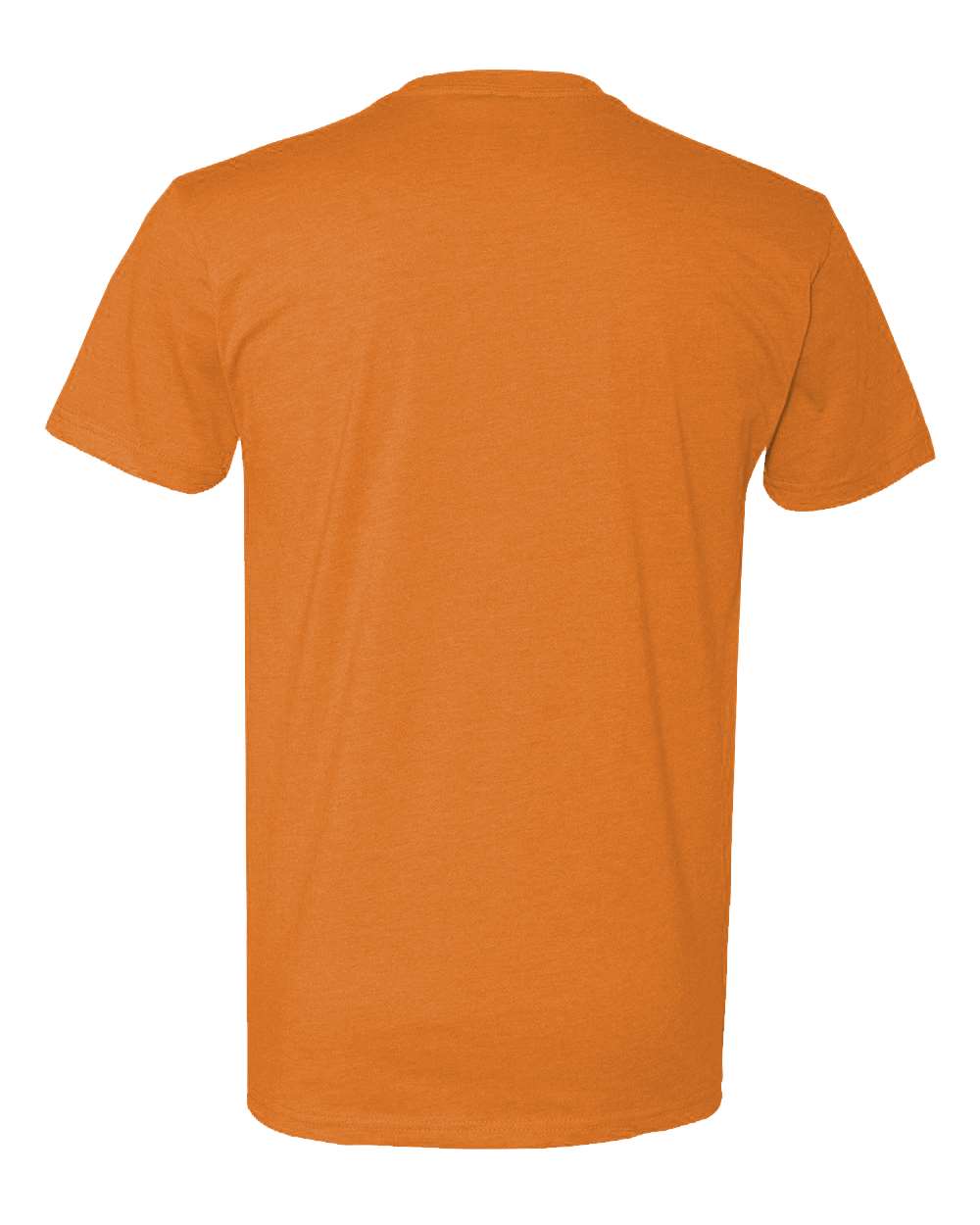 Tiger Wearing Sunglasses and Hat T-Shirt