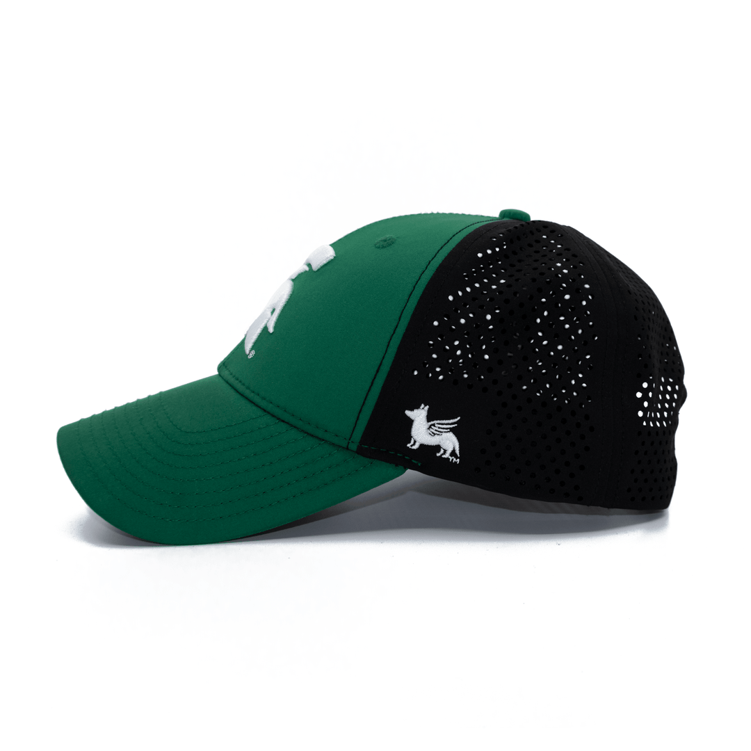 Left side of a green and black Michigan State hat from Nudge Printing