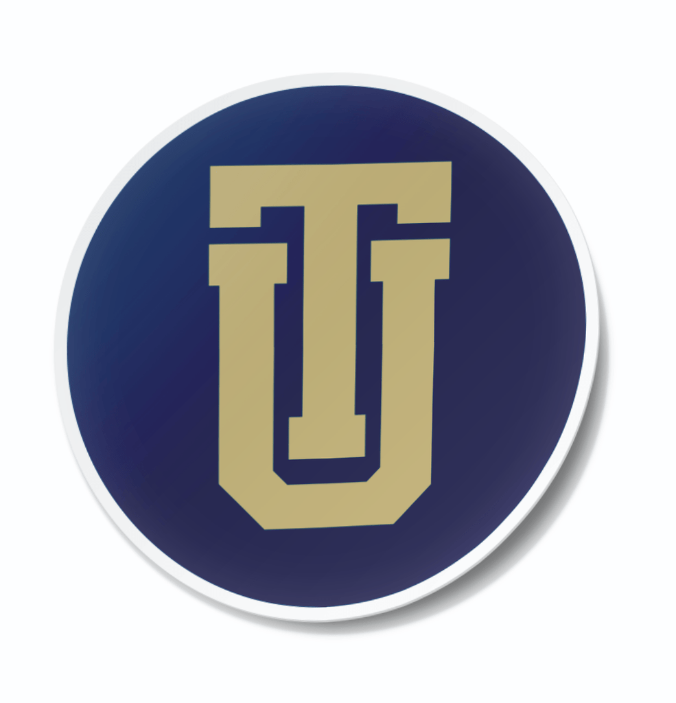 NYU Decal: University Of New York Vinyl Sticker For Laptop, Car, Window